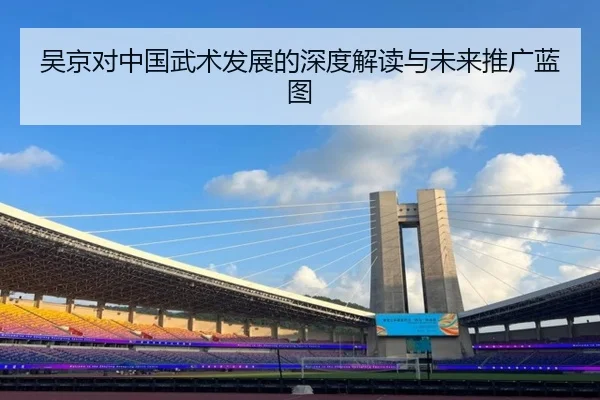 吴京对中国武术发展的深度解读与未来推广蓝图